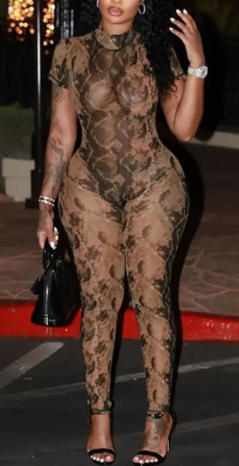 Match My Vibe mesh jumpsuit